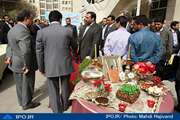 دیدار نوروزی وزیر امور اقتصادی و دارایی با معاونان و مدیران این وزارتخانه